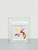 Dan Rees, Vacuum Painting, 2012, oil on canvas, plastic and glass