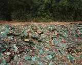 China Recycling #9, Circuit Boards, Guiyu, Guandong Province, China by Edward Burtynsky, 2004; printed 2007, digital chromogenic color print, offered Feb 2016