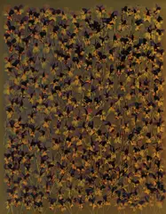 Untitled by Adam Fuss, 1994, unique cibachrome photogram, offered Feb 2016