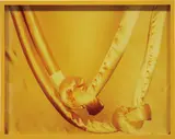 Elad Lassry, Silk Rope, 2010, gelatin silver print, in painted artist's frame