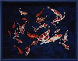 Elad Lassry, Coyfish, 2011, chromogenic print, in painted artist's frame