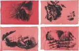 Kiki Smith, Untitled (Pink Bosoms)