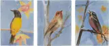 Ann Craven, Three works: (i) Summer; (ii) Fall; (iii) Winter Please