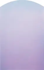 Untitled (Flat) by Alex Israel, 2011, acrylic on stucco panel, sold Feb 2016