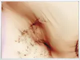 Freischwimmer 120 by Wolfgang Tillmans, 2006, chromogenic print, in artist's frame, sold May 2016