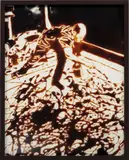 Action Photo, after Hans Namuth (from Pictures of Chocolate) by Vik Muniz, 1997, chromogenic print, in artist's frame, sold May 2016