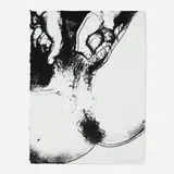 Andy Warhol, Untitled (from the Sex Parts series), 1978, screenprint on HMP