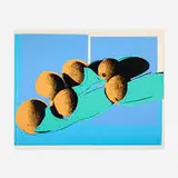Andy Warhol, Cantaloupes I (from the Space Fruit: Still Lifes portfolio), 1979, screenprint in colors on Lenox Museum Board