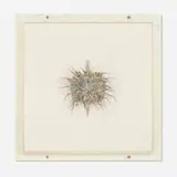 Cathy de Monchaux, Mordant Rapture, 1999, brass, leather, human hair, fur, gesso, chalk, thread, and oil in artist's frame
