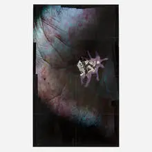 Seth Price, Untitled #5, mixed media on photograph in eight parts in artist's frame