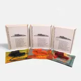 Gaetano Pesce, Three 'Alvar Aalto Viipuri Library Appeal' models, 1993
