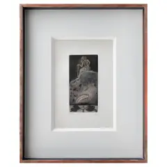 Francisco Toledo, Untitled, Grabado al aguafuerte 10 / 24