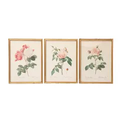 Pierre-Joseph Redouté, Rosa Indica Fragans; Rosa Alba Regalis y Rosa Damascena Celsiana, de Les Roses ca. 1817-, 1821, Grabados a la punta seca acabados a mano