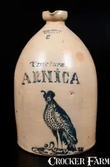 Ottman & Co., Rare "Tincture Arnica" Stoneware Bird Jug, HAXSTUN, OTTMAN & CO. / FORT EDWARD, NY, circa 1870, Stoneware
