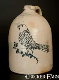 Wm E. Warner, WM. E. WARNER / WEST-TROY Stoneware Jug w/ Large Bird Decoration.