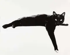 Roland Pleterski, Mauki', New York City 1958, 1958, Vintage silver print on double-weight semi-matte paper, in very good condition. Photographer’s stamp on the reverse