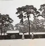 Werner Bischof, Courtyard of the Meiji shrine, Tokyo, Japan 1951, 1951, Gelatin silver print, printed c. 1960 on single-weight glossy paper, in good condition. Photographer's Magnum stamp and "John Hillelson" agency stamp on the reverse