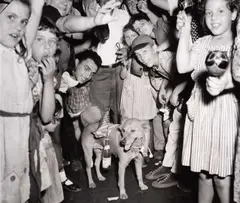 Weegee, End-of-war merrymakers with pup, New York City, August 1945, 1945, Vintage silver print on single-weight glossy paper