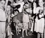 Weegee, End-of-war merrymakers with pup, New York City, August 1945, 1945, Vintage silver print on single-weight glossy paper