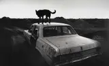 Wim Wenders, Dusk in Coober Pedy, Australia 1978