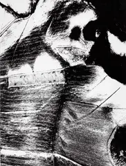 Mario Giacomelli, From series 'Presa di coscienza sulla natura', Italy 1980, 1980, Gelatin silver print, printed 1992 on double-weight semi-matte Agfa paper, in very good condition. Signed and dated by the photographer in black ink, his copyright stamp and also his series stamp on t
