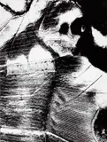 Mario Giacomelli, From series 'Presa di coscienza sulla natura', Italy 1980