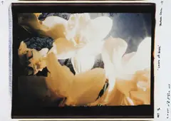 Barbara Crane, Untitled, from the series 'Visions of Enarc, 1987, Unique Polaroid Polacolor
