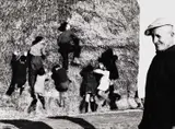 Mario Giacomelli, From the series 'La buona terra', Ancona 1964