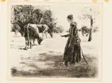 Max Liebermann, Auf der Weide (Bei Delden in Holland), Radierung auf Velin