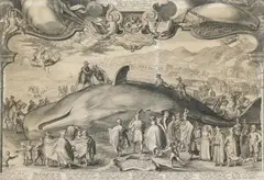 Jan Saenredam, Auktion 386, Los 327, Kupferstich auf Papier