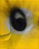 Otto Piene, "Yellow Morning", Mischtechnik (Feuergouache) auf Leinwand