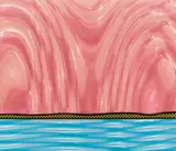 Roy Lichtenstein, Landscape 5, Farbserigrafie, rosé- und blaufarbenes Rowlux®, collagiert, auf Karton
