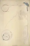 Shusaku Arakawa, Ohne Titel