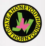 Ferdinand Kriwet, Yeahoneyouth.., Farbserigrafie auf Karton