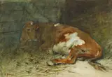 Anton Mauve, Kalb im Stall, Aquarell auf Papier