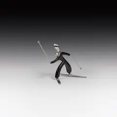 Karl Hagenauer, Skier