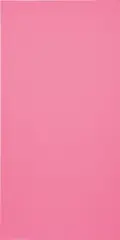 Henry Codax, Untitled (Hot Pink), 2012, acrylic on canvas