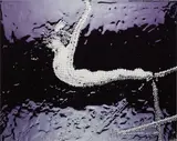 Vik Muniz, Nadia Comanecci