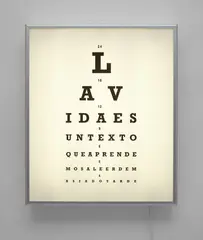 Iván Capote, Dislexia (La vida es un texto...), 2006, lightbox
