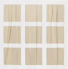 Eugenio Espinoza, Blanco, 2005, acrylic on fabric
