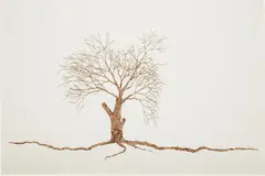 Máximo González, Untitled, 2007, cut Mexican pesos on paper