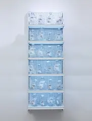 Josh Kline, it's clean, it's natural, we promise., 2011, 24 Duane Reade bottles boiled in their own water, plastic infused spring water and commercial metal shelving