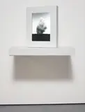 John Gerrard, Smoke Tree IV, 2006, simulation with artist's Corian frame and Corian console table