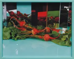 Elad Lassry, Beets, 2010, chromogenic print, in artist's frame
