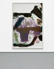 Mariah Robertson, 117, 2012, unique chemical treatment on RA-4 paper