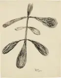 Louise Bourgeois, Untitled