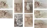 Ana Mendieta, Untitled (from the Silueta Series)