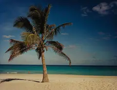 Punta Hicacos, Varadero, Cuba by Christopher Williams, 2000, chromogenic print, sold Nov 2016