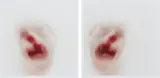 Roni Horn, Clownmirror #8