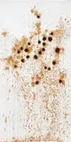 Sunflowers III by Tania Bruguera, 2002, ink and collage on paper, offered Nov 2016